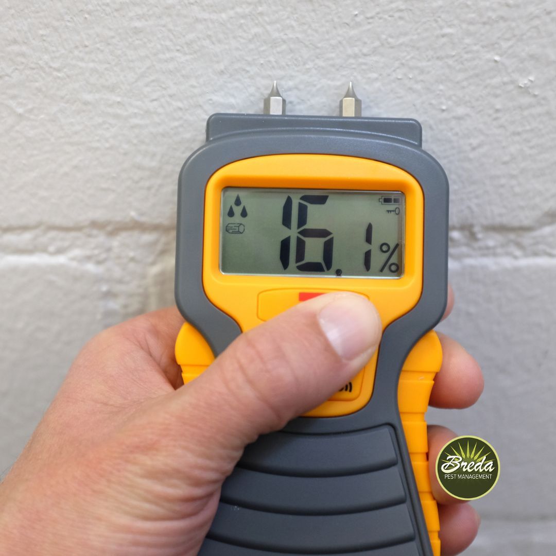moisture meter on exterior of a house in Athens GA pest control