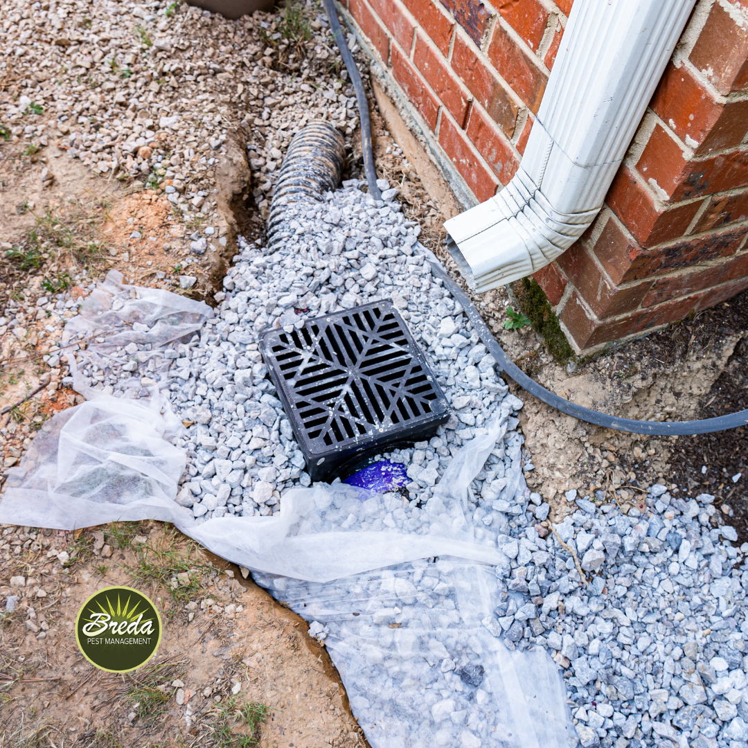 proper water drainage for termite prevention in Newnan GA