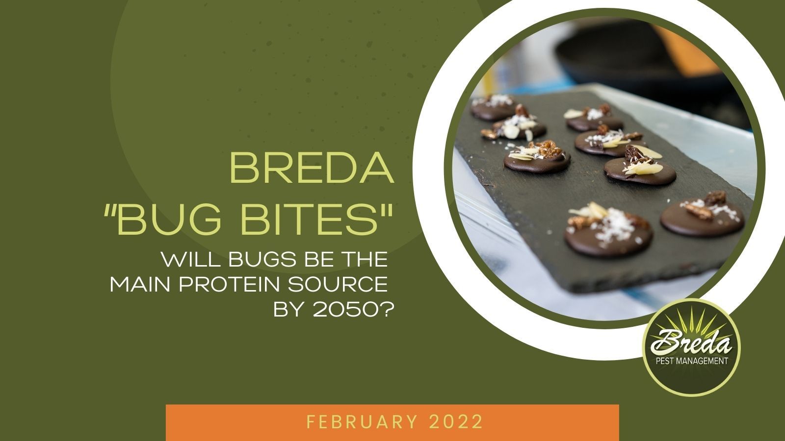 breda offers pest extermination services in atlanta