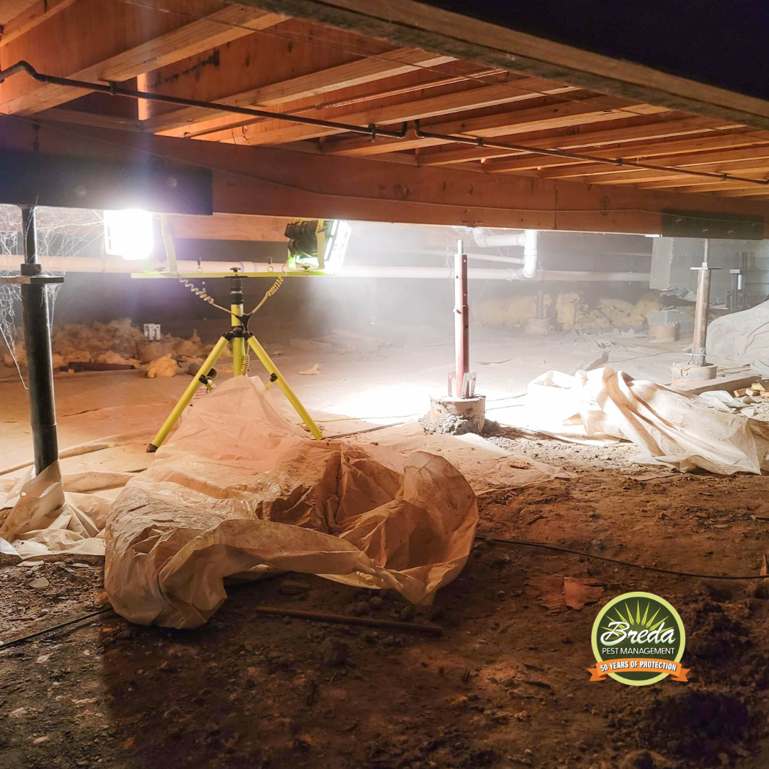 crawl space encapsulation process in a Roswell home crawl space encapsulation Roswell Georgia