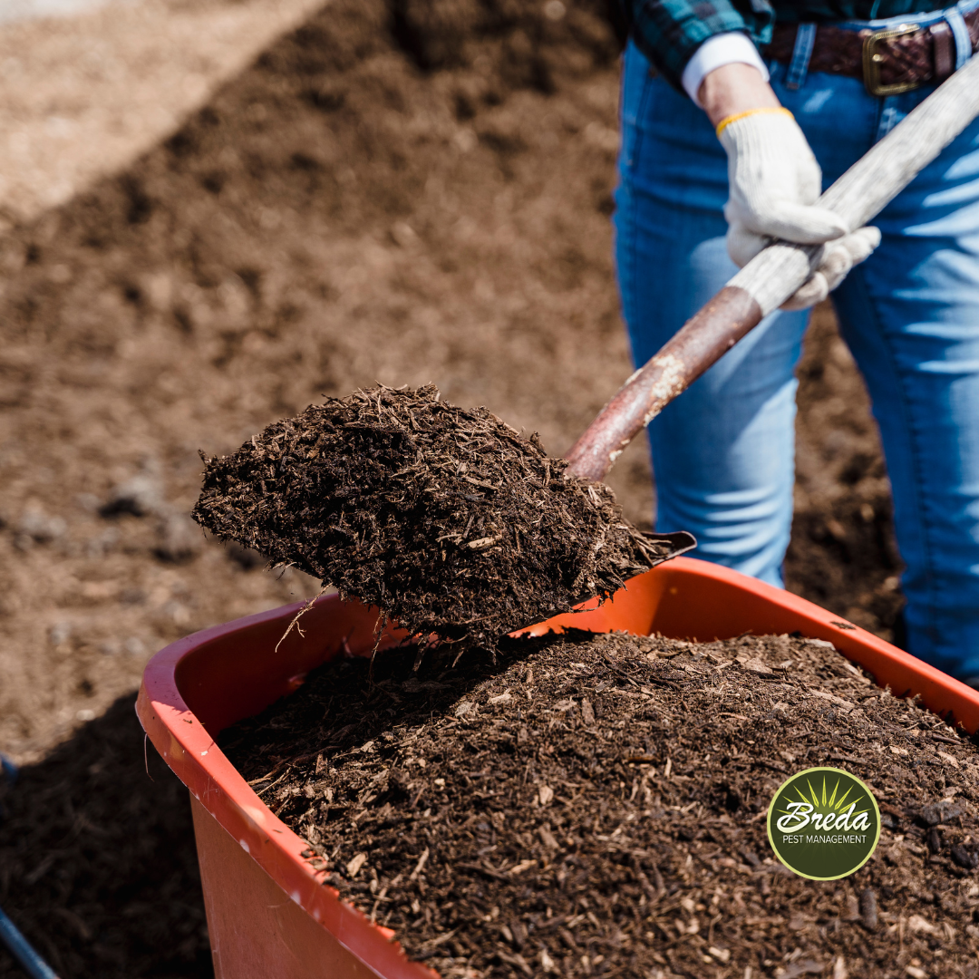 shoveling mulch onto yard flowery branch home pest control