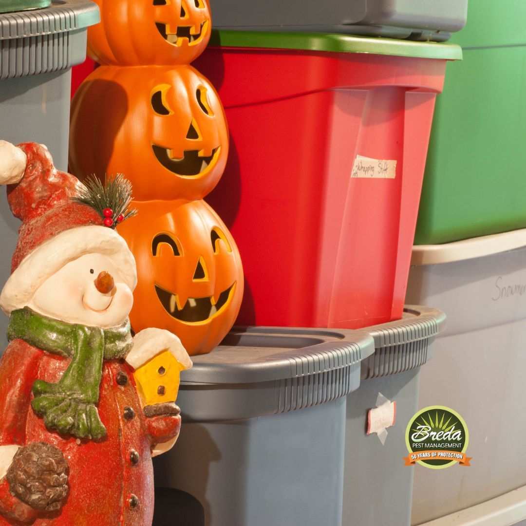 holiday decoration storage holiday lights and pests in Georgia