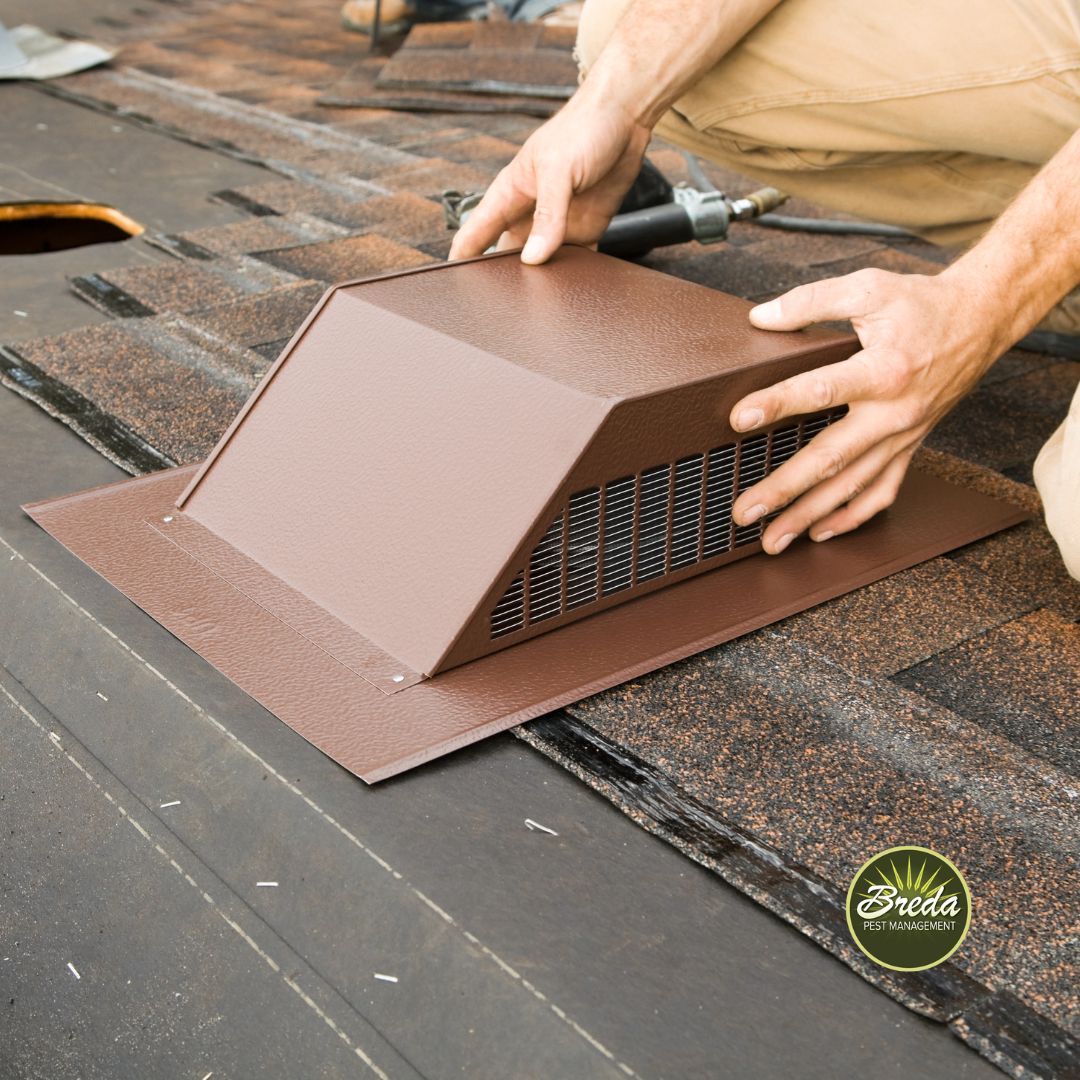 attic vent cover to protect against fall pests