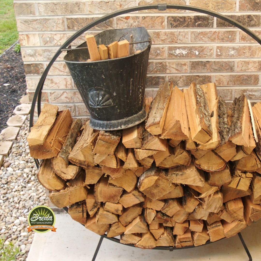 firewood stacked in outdoor firewood rack firewood pests in Atlanta