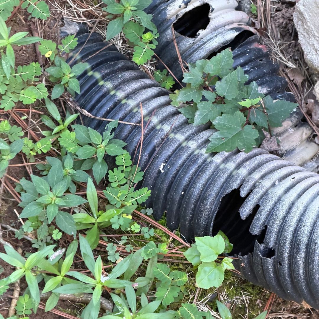 Damaged black corrugated drainage pipes surrounded by green plants and soil outdoors