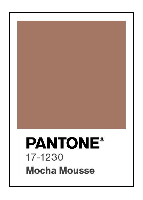 A Swatch of Pantone Color Mocha Mousse