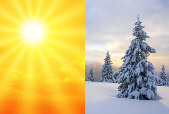A bright sun on the left and a snow covered evergreen tree on the right