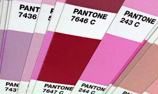 Various Pantone color samples with identification numbers