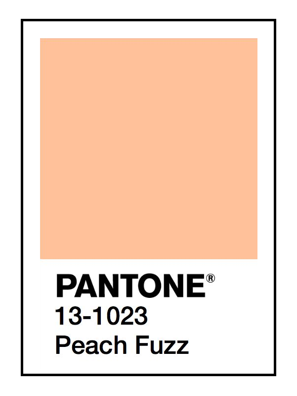 A Swatch of Pantone Color Peach Fuzz