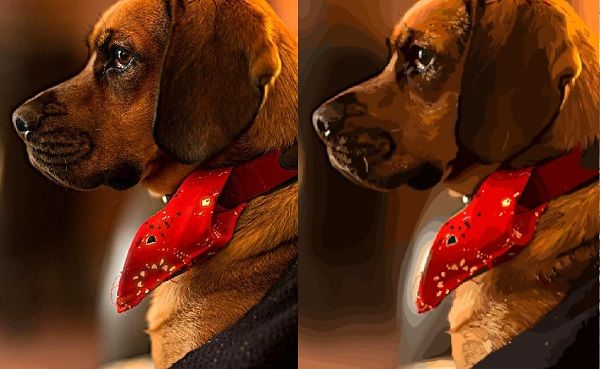 A Raster Image of a dog one the left next to a Vector Image of a dog on the rightared Mage f