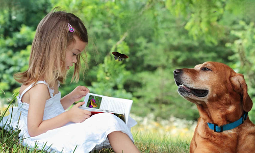 A young girl looking at a butterfly field guide