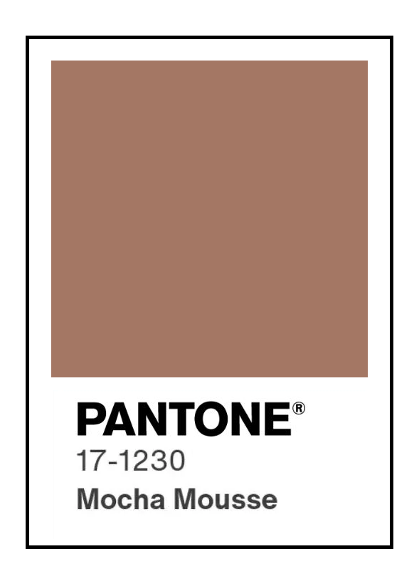 A Swatch of Pantone Color Mocha Mousee