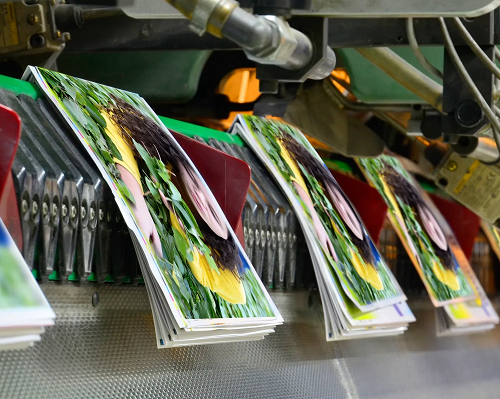 Saddle Stitched books being collated and stapled