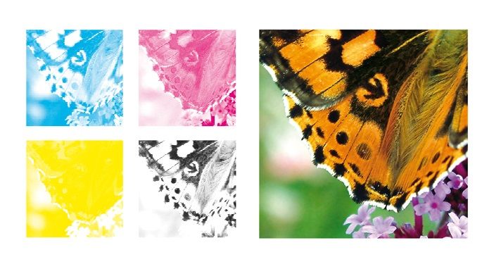 CMYK color separations and the final image of a butterfly