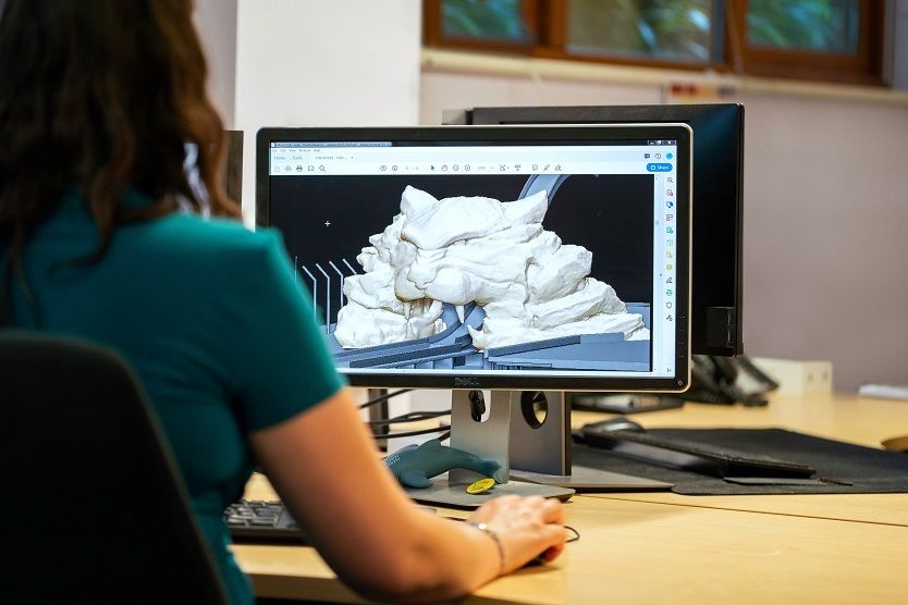 A woman viewing an artwork file on a computer screen