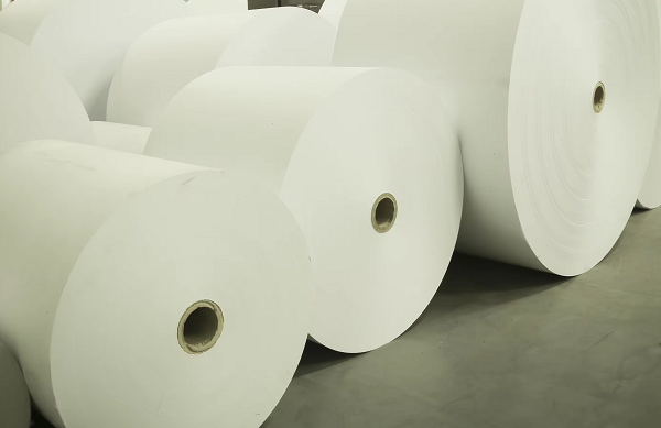Large rolls of paper in a printing company's storeroom