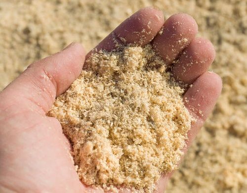 A hand holding a pile of wood pulp