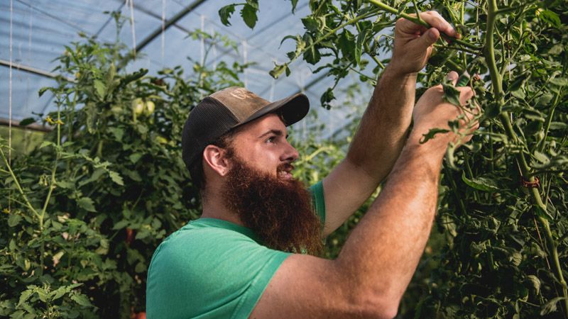 Chris Comstock was one of Cul2vate's first graduates, and has remained a farmer full-time since.