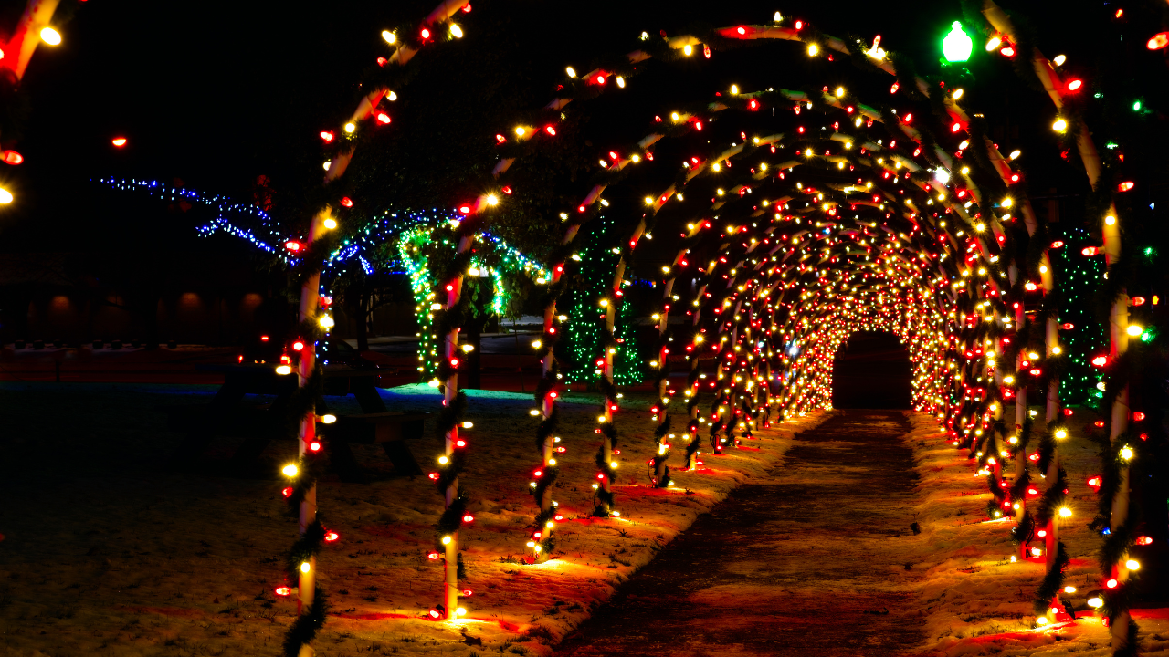a holiday lights tunnel at night