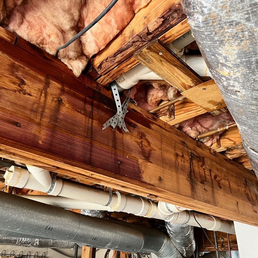 Water Leak Celling dripping Estes Plumbing Services fixed the leak