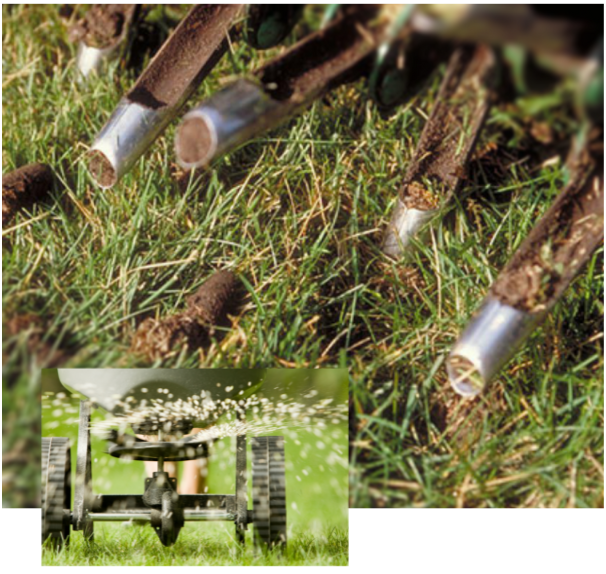 Close-up of lawn aeration process, showcasing aerator machine puncturing grass and soil.