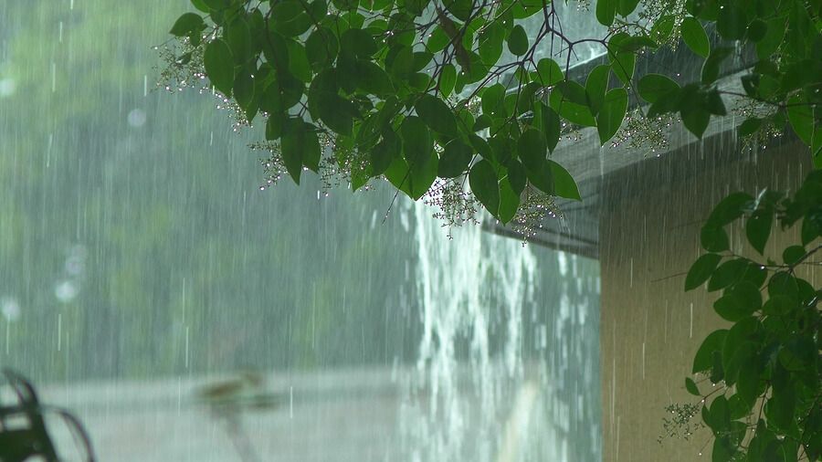 Tropical Storm-Proof Roofing: Ensuring Your Roof's Resilience During Storm Season 