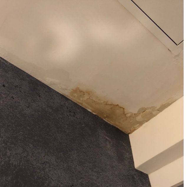 What Should I Do if My Roof Starts Leaking? 