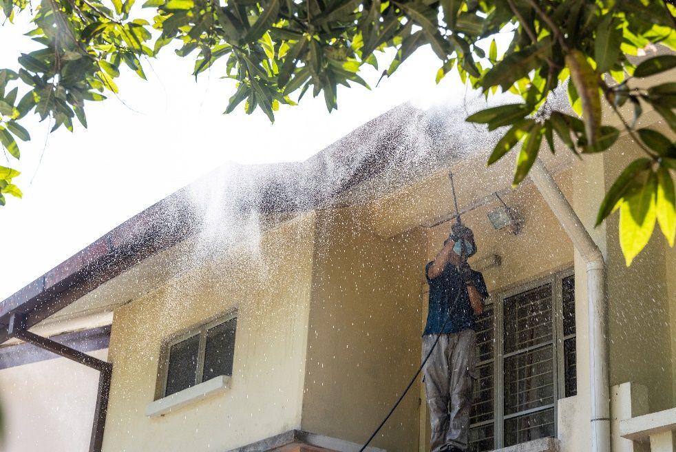 How often should you clean your roof, Should You Clean Your Roof?