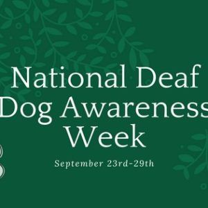 National Deaf Dogs Awareness 