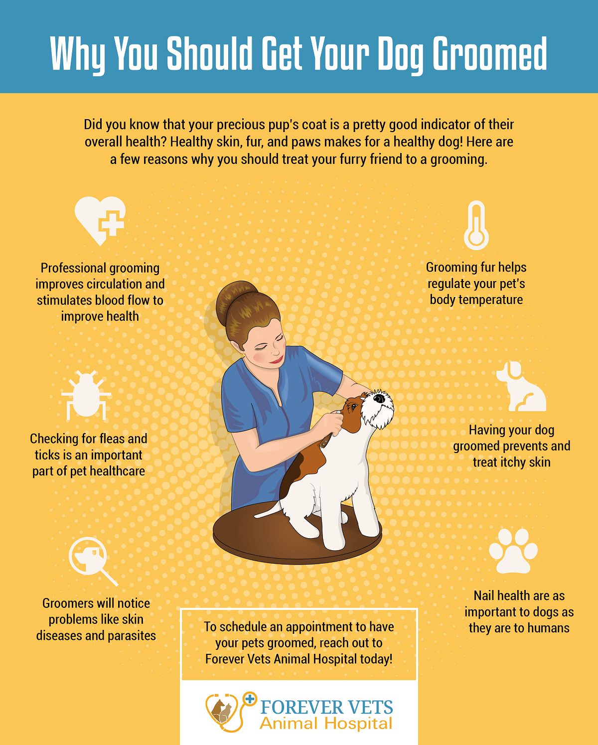 Why You Should Get Your Dog Groomed | Forever Vets