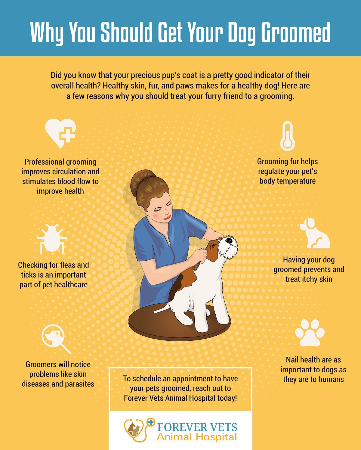 Where to get on sale your dog groomed