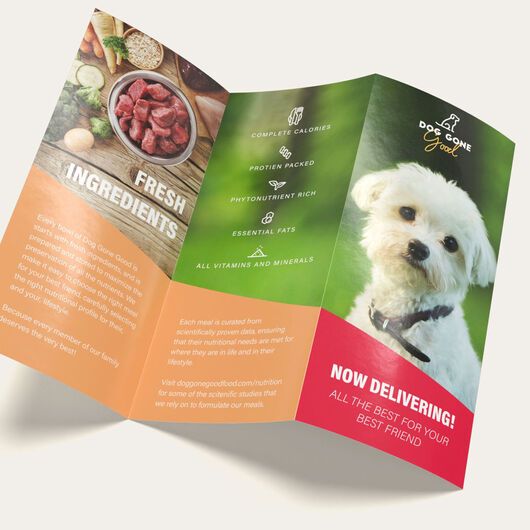 Tri Fold Brochure Printing