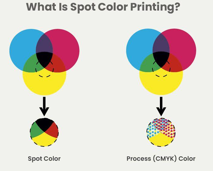 what is spot color