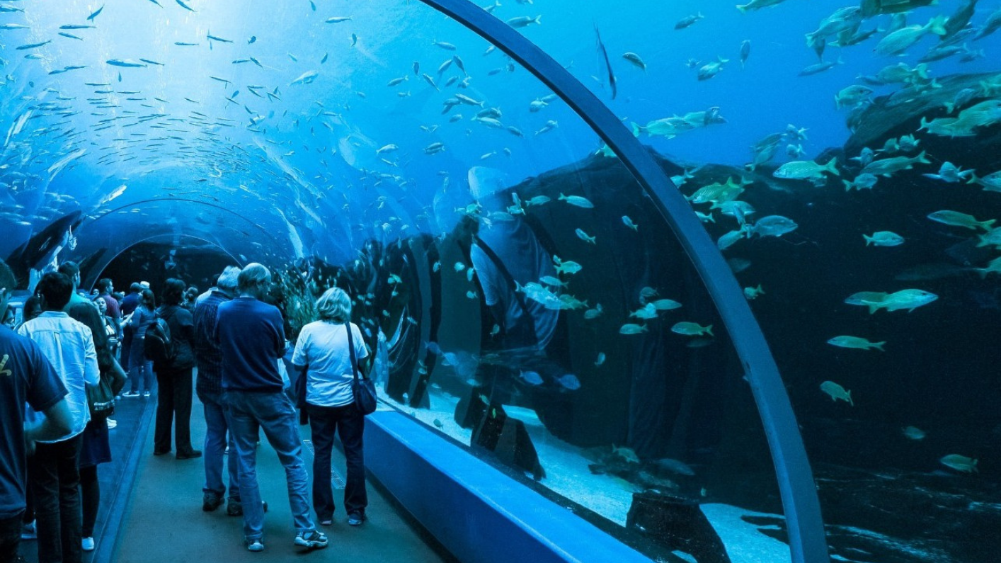 Georgia Aquarium