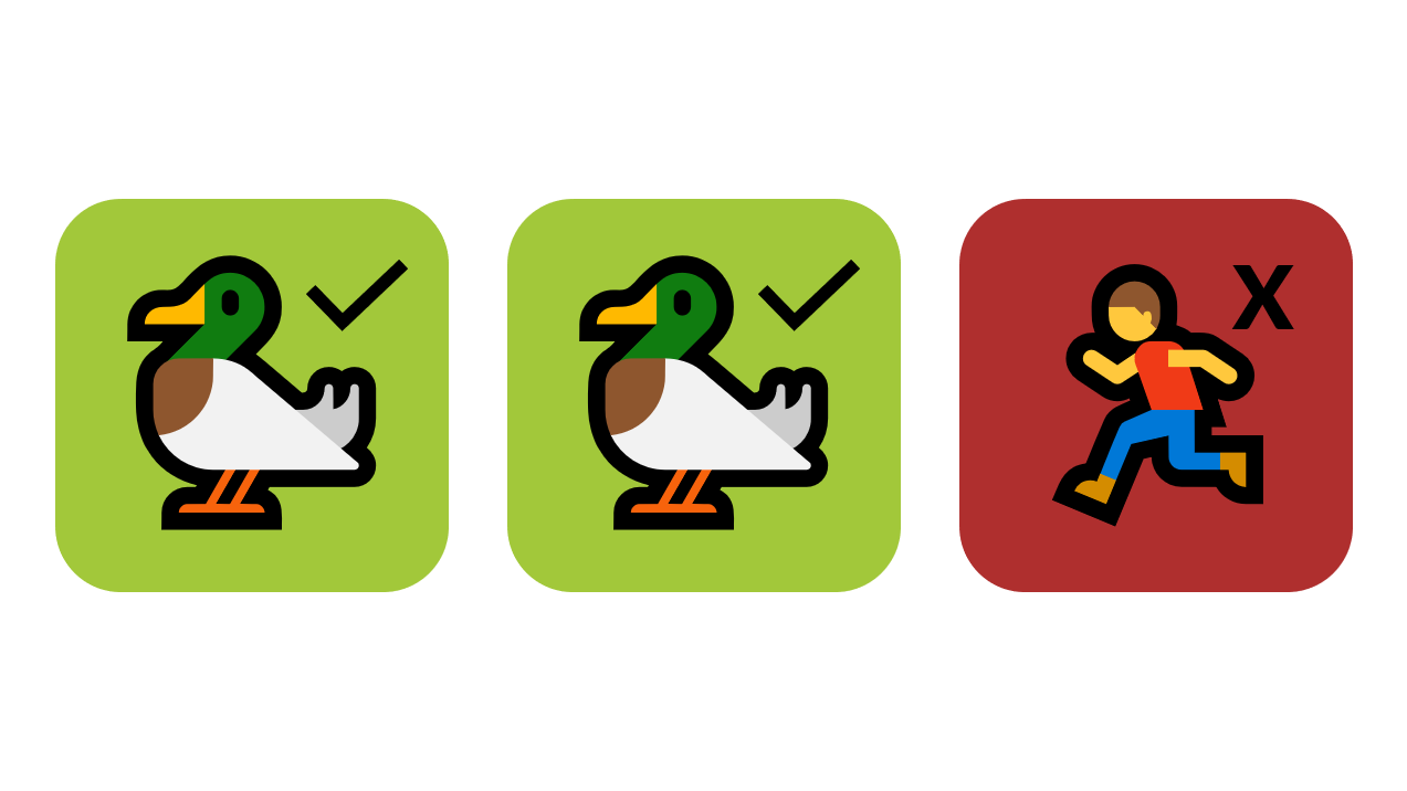 Two ducks and a man running icon