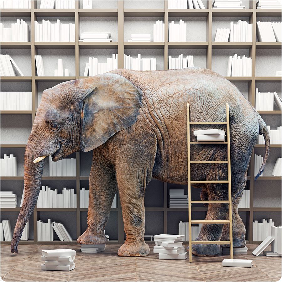 HIPAA compliance is the elephant in the room for the healthcare industry