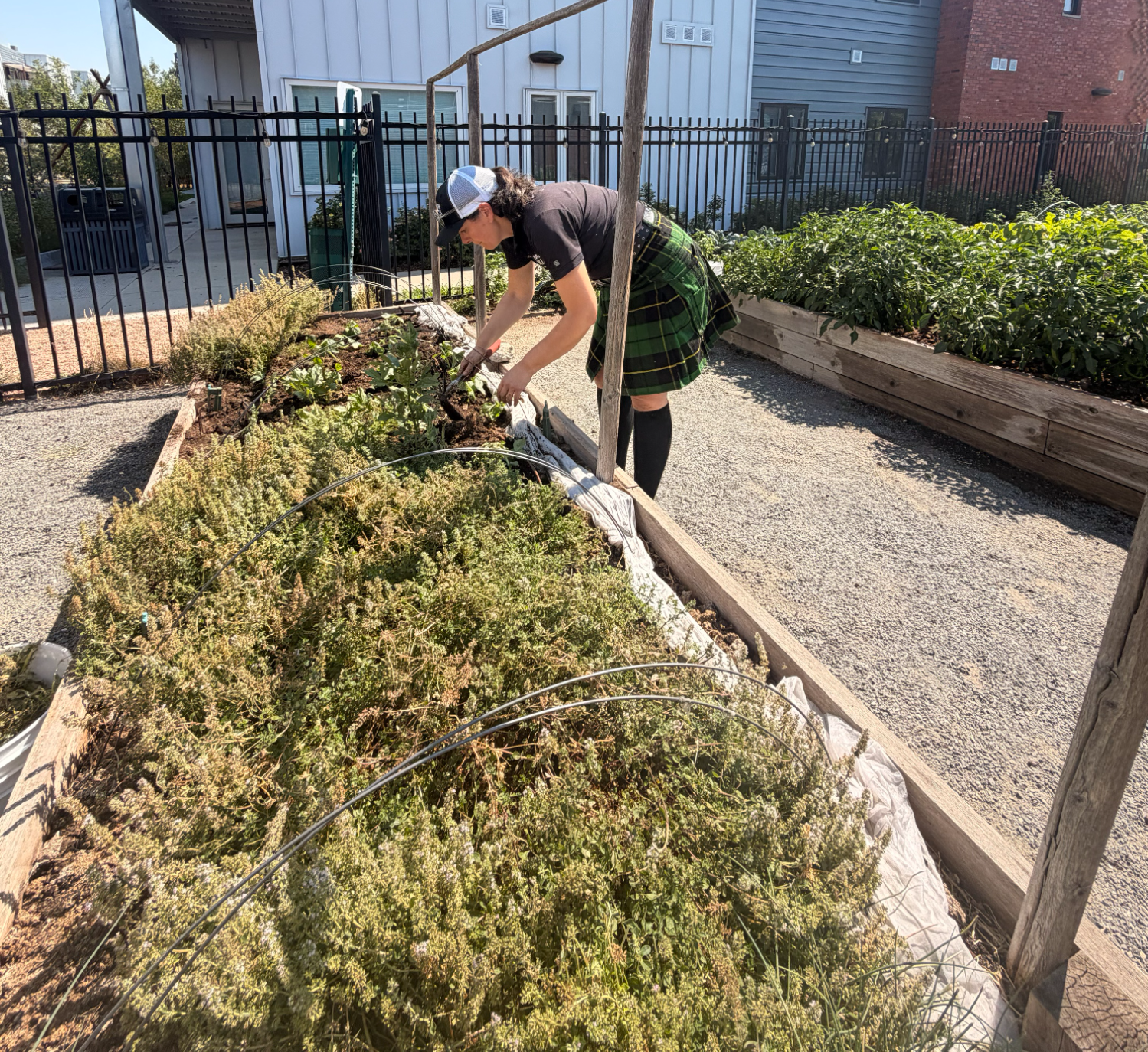 The Men In Kilts Window Cleaning Tartan Army spent the morning cleaning windows, pressure washing, and sprucing up Altus Farms, an incredible organization that grows fresh produce for local restaurants to help raise funds for Jewish Family Services.