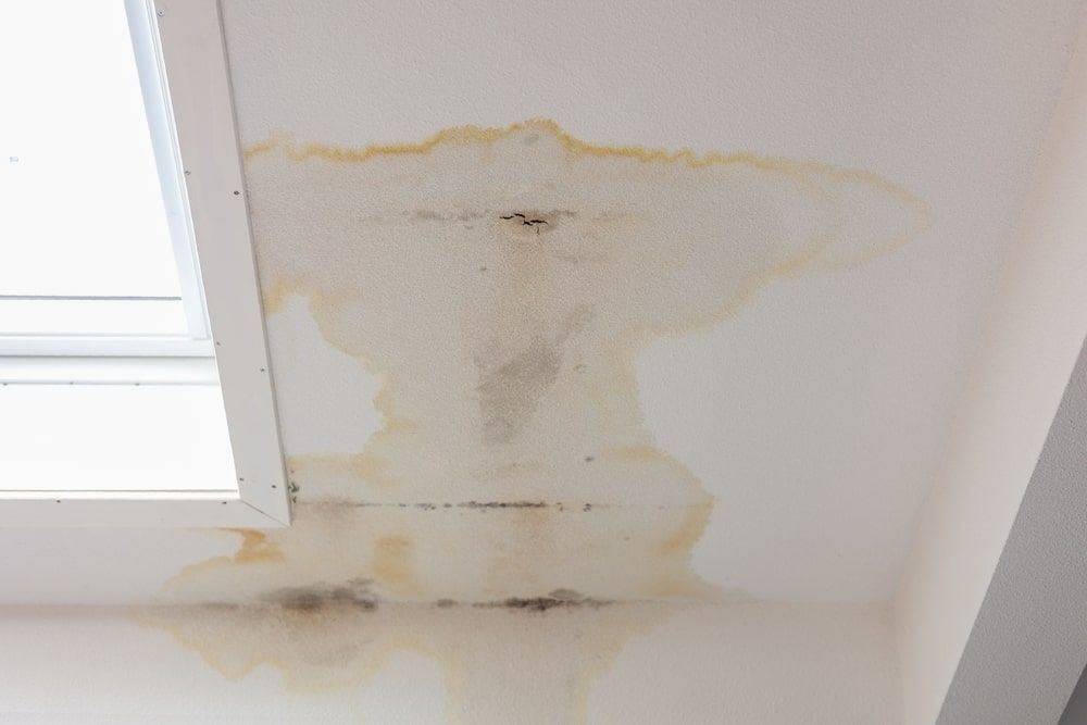 Signs of a Roof Leak