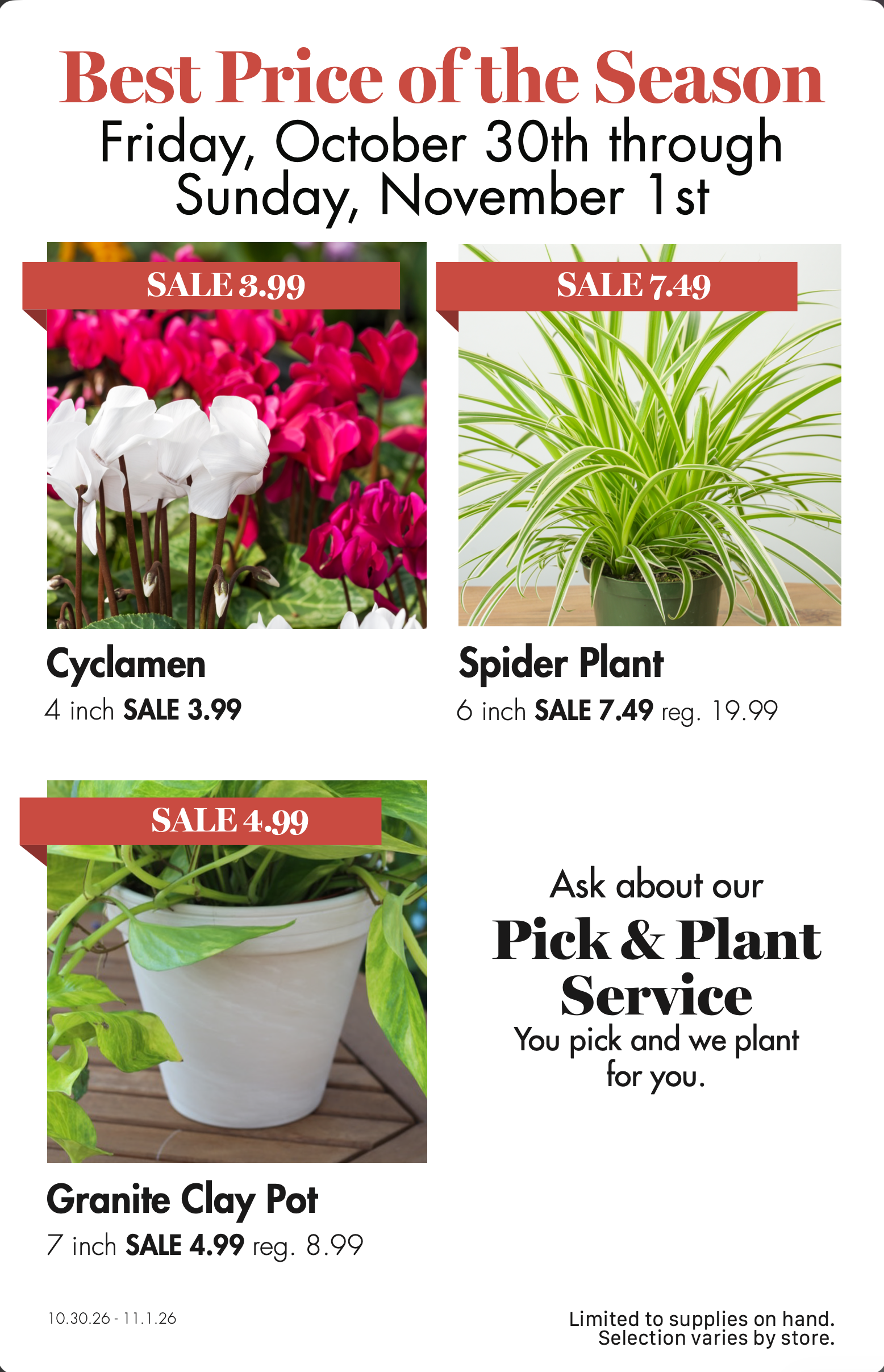 Sale flyer with overlaid text showcasing cyclamen, spider plant, and granite clay pot with discounted prices and pick & plant service.