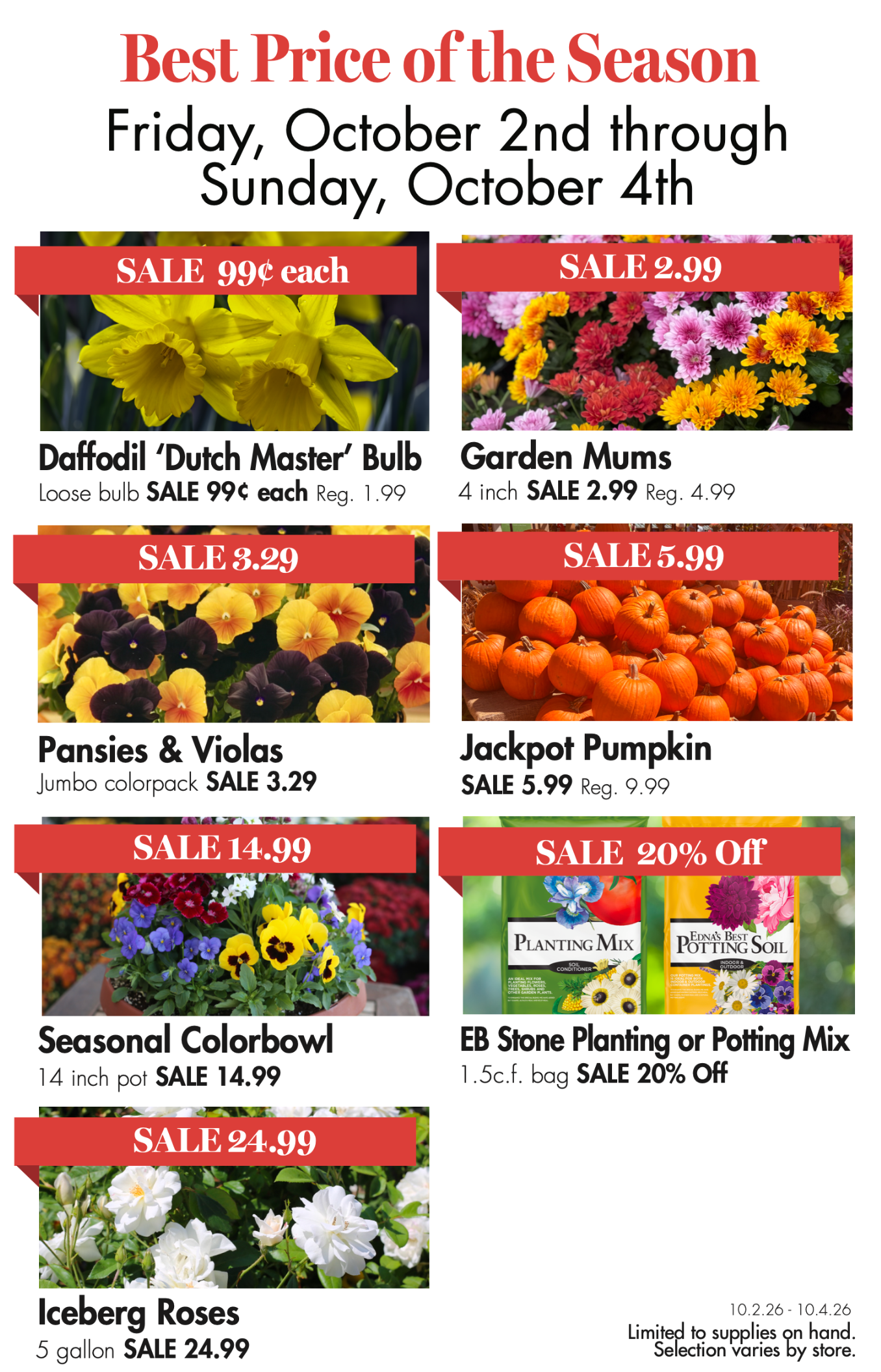 Seasonal plant sale with daffodils, garden mums, pansies, pumpkins, colorbowls, potting mix, and roses at discounted prices.