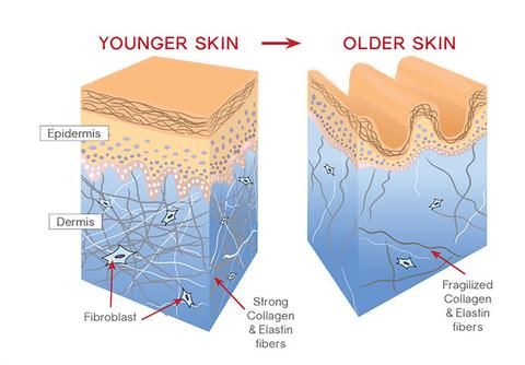 What are growth factors in skin care? - TODAY
