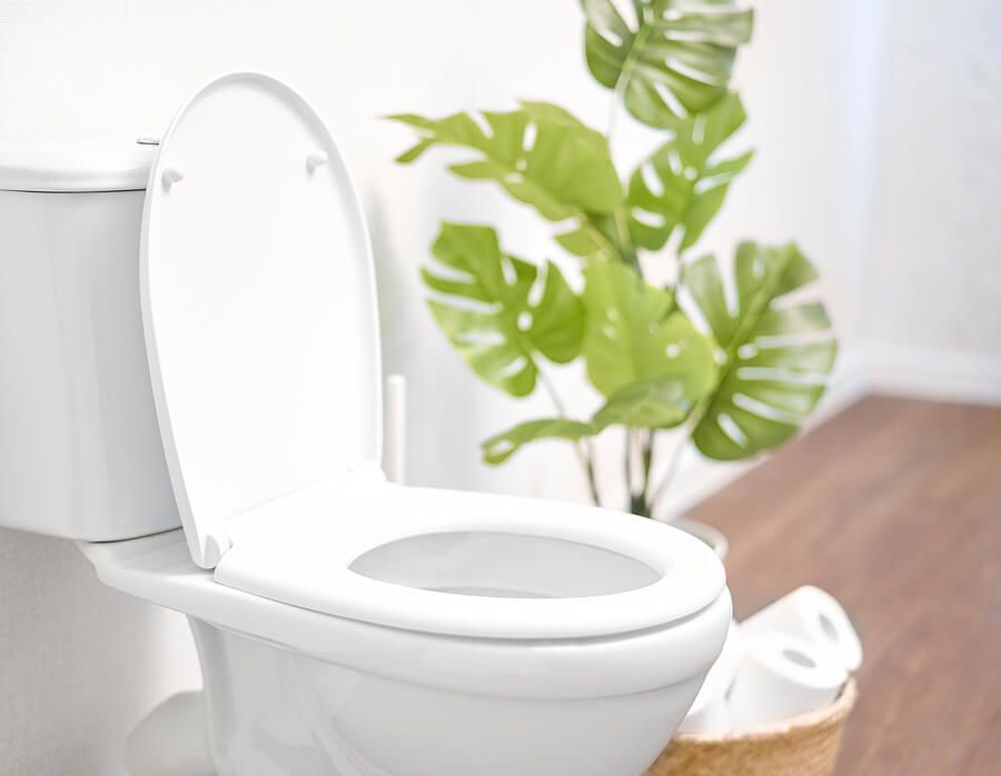 How to Know if It's Time for a New Toilet