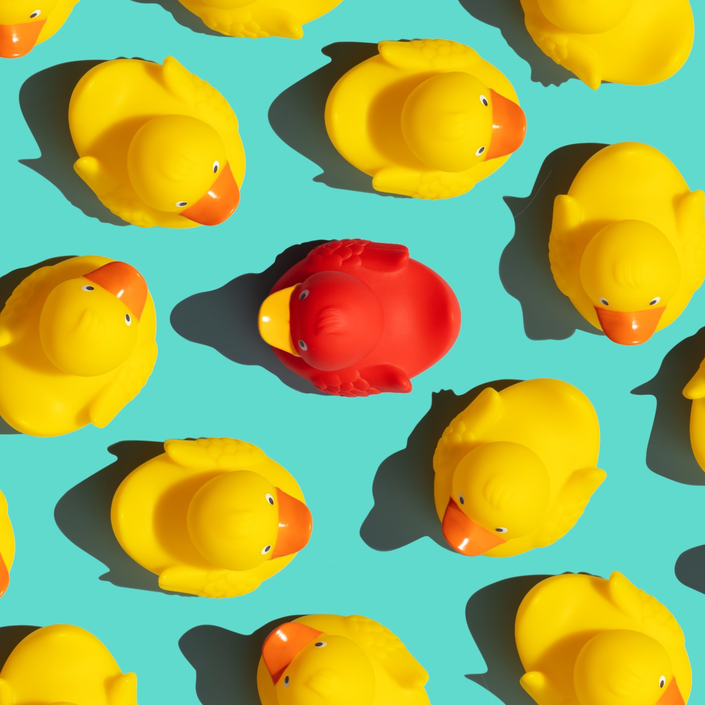 Red rubber duck surrounded by multiple yellow rubber ducks on a bright blue surface, symbolizing uniqueness.