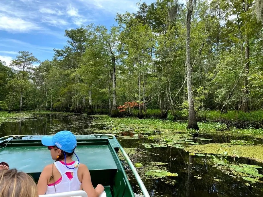 Two people exploring a lush green swamp with lily pads and tall trees on a sunny day from a boat.