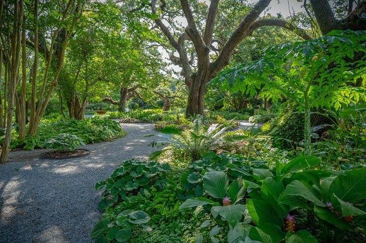 Top 10 Parks to Visit and Tour Around in NOLA | Where Y'at New Orleans