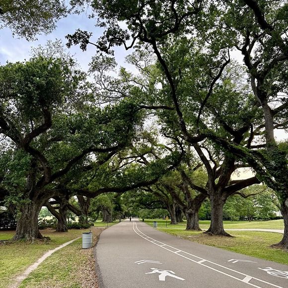 Top 10 Parks to Visit and Tour Around in NOLA | Where Y'at New Orleans