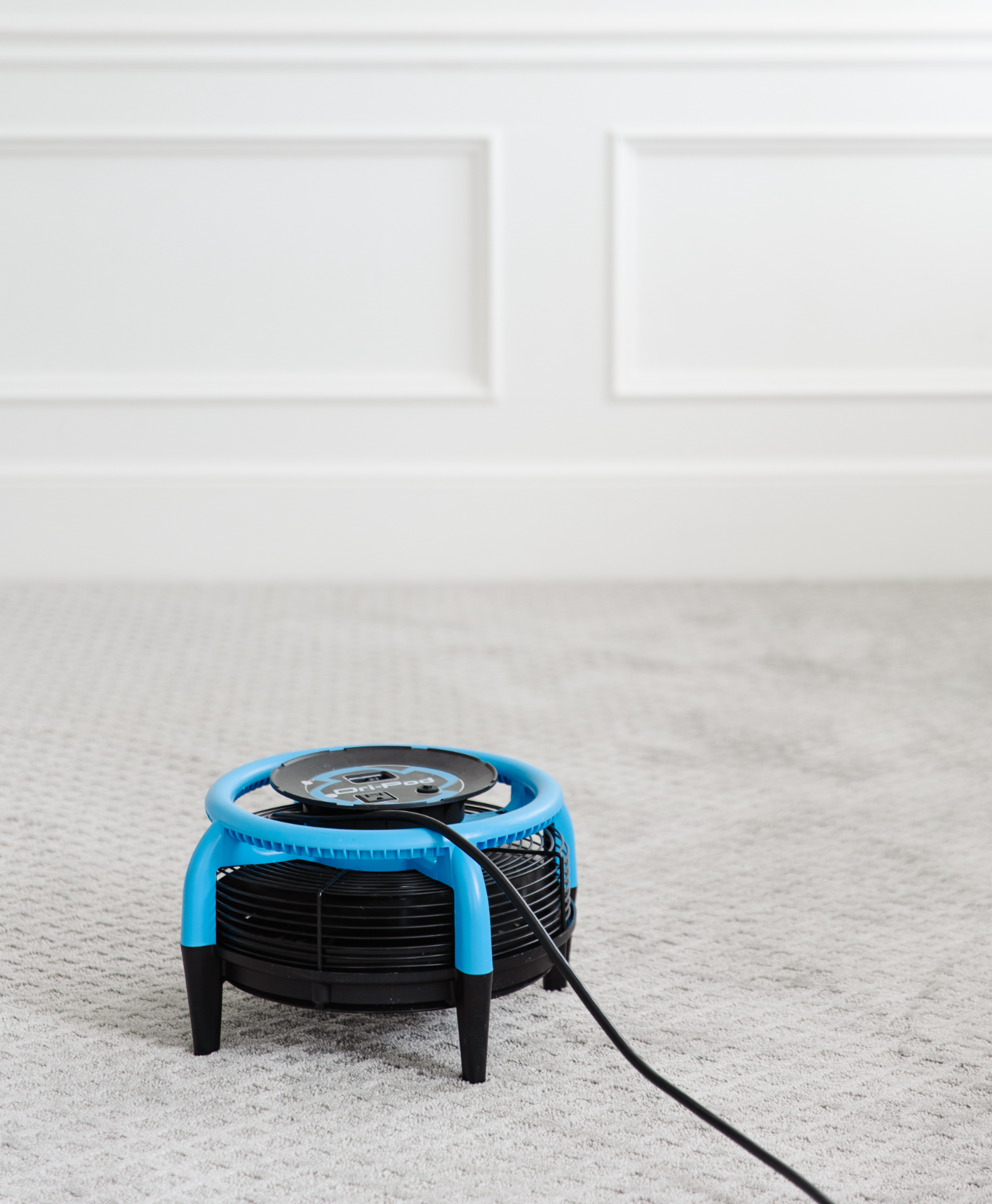blue and black floor drying fan using the best temperature for drying carpet
