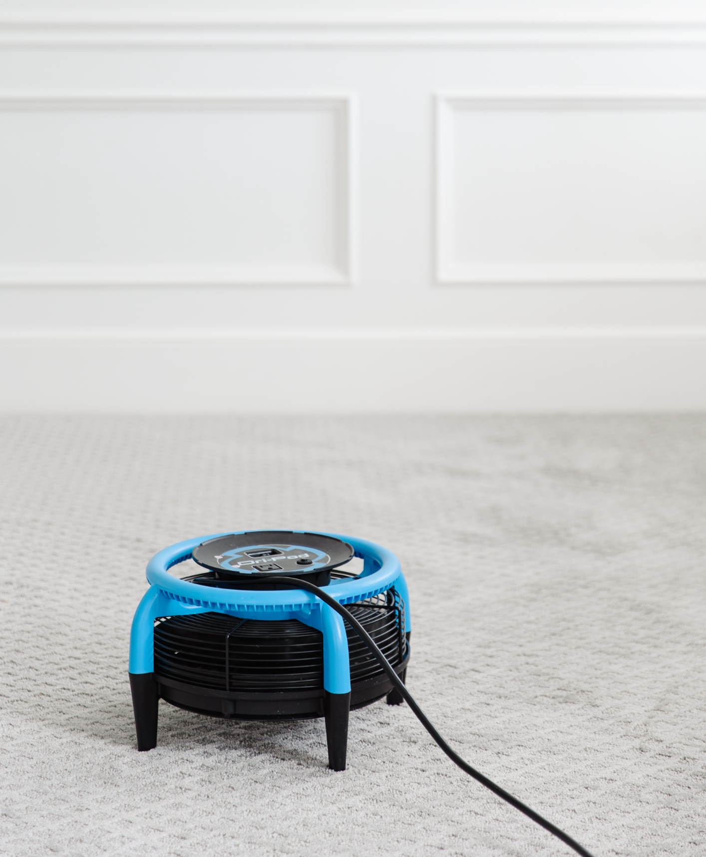 Does carpet dry faster in warm weather? — Sno-King Carpet