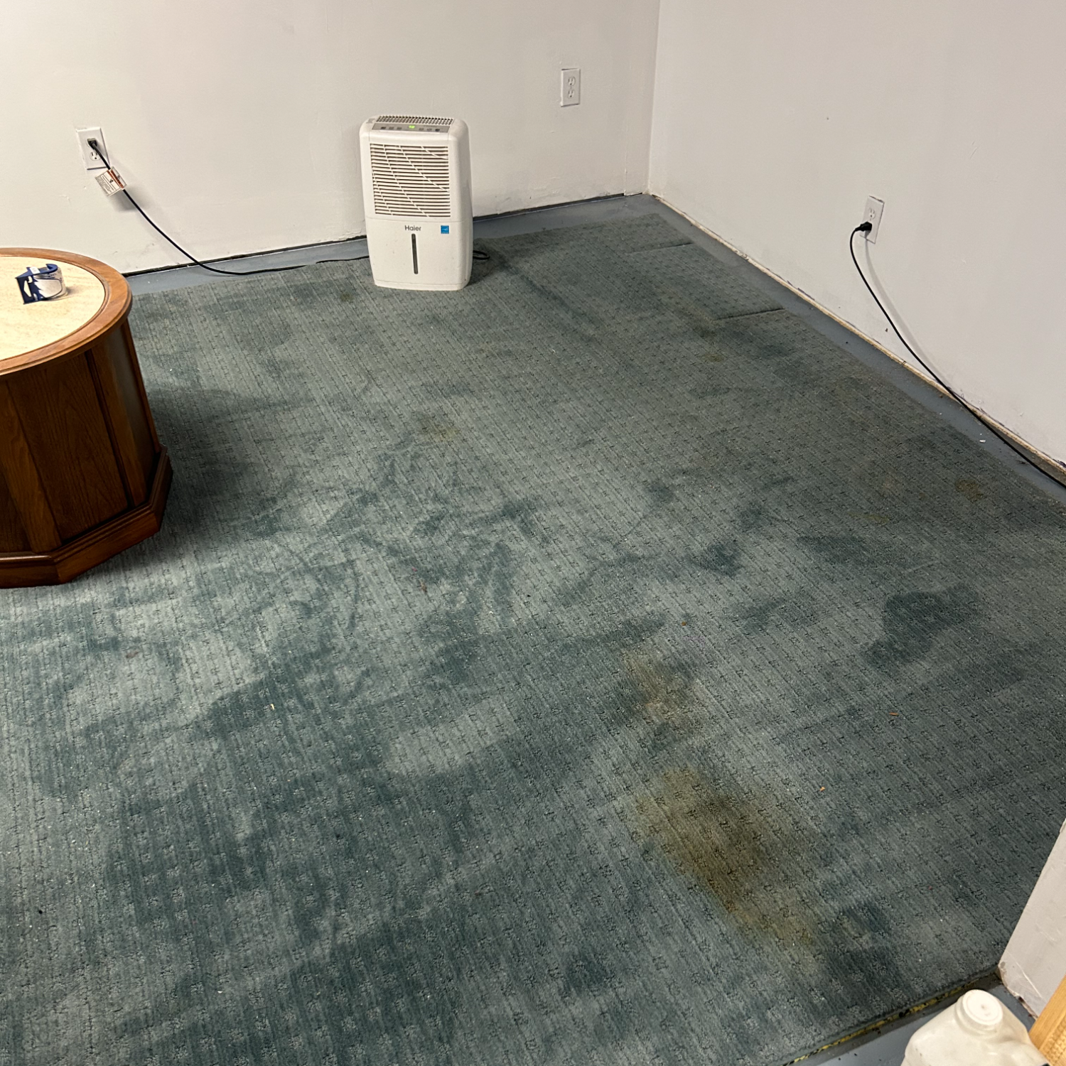 dirty green textured basement carpet with a humidifier on the carpet. 