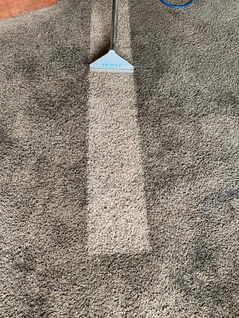 Zerorez® Zr Wand® pulling a clean stripe on beige carpet that was dirty and discolored